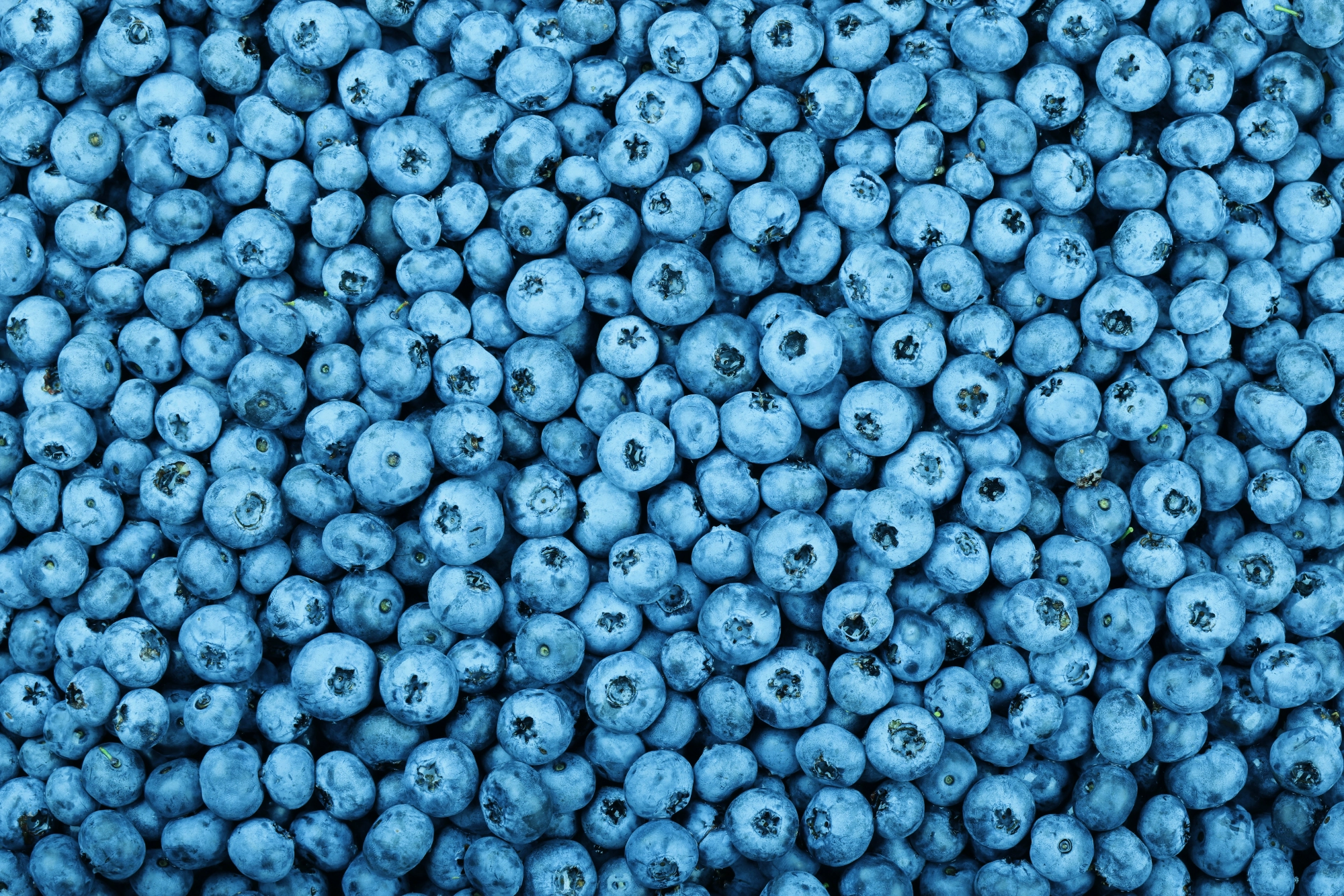 Blueberries